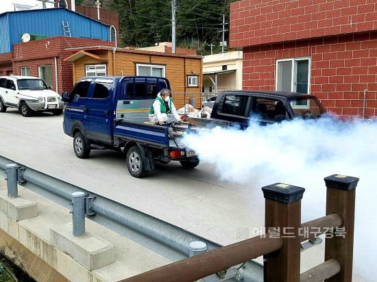 울릉군 새마을회가 생명살림 운동 일환으로 마을별 촘촘한 방역활동을 전개하고 있다.