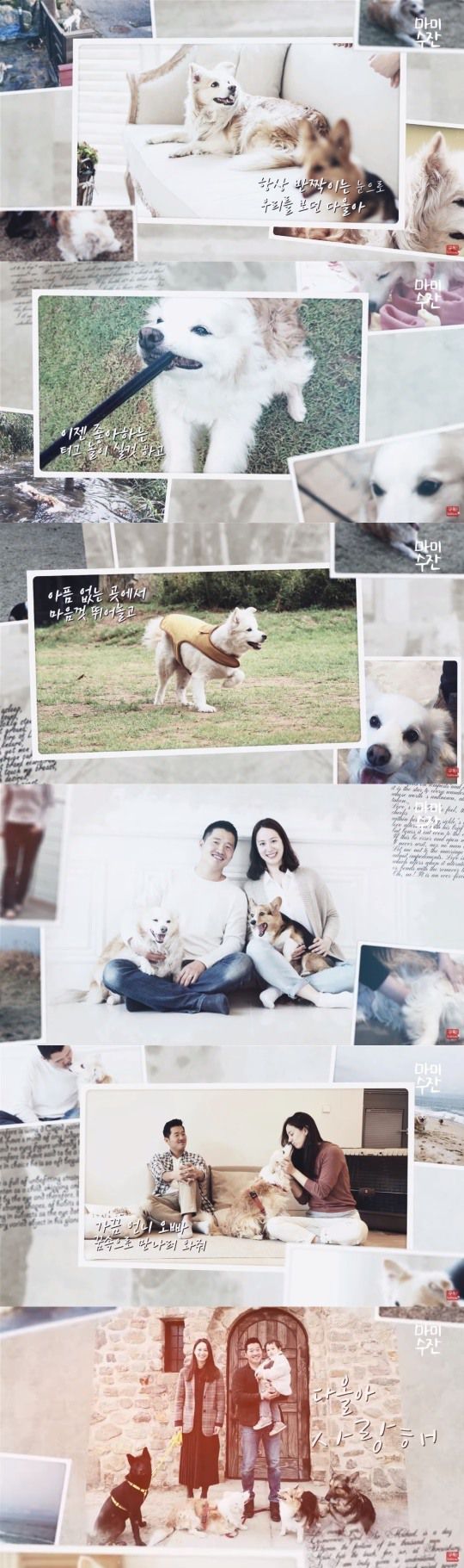 수잔 엘더 유튜브 채널 캡처