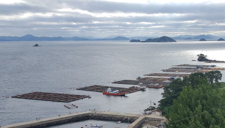 경남 통영 욕지도의 해상 가두리 양식장 모습.
