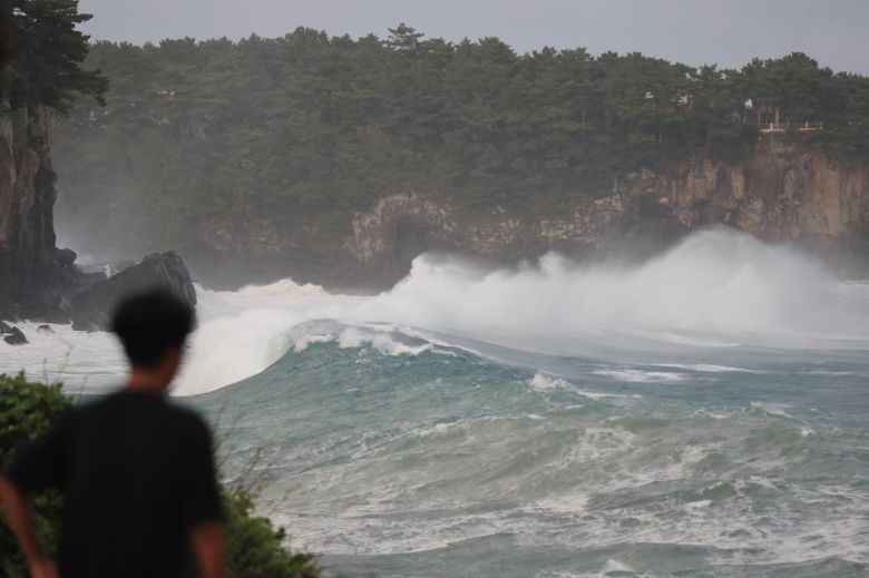제8호 태풍 '바비'가 제주도를 향해 북상하는 가운데 지난 25일 오후 제주 서귀포시 토평동 앞바다에 거대한 파도가 몰아치고 있다. [연합]
