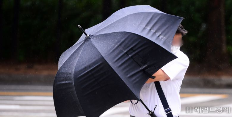 박해묵 기자/@mook