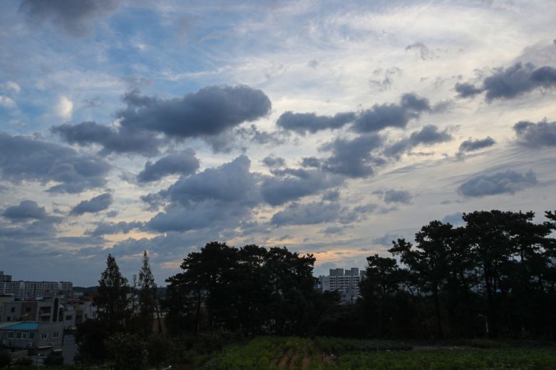 제8호 태풍 ‘바비’의 영향권에서 벗어난 27일 오전 대전시 유성구 원내동에서 바라본 하늘. 먹구름이 빠르게 이동하고 틈새로 푸른 하늘이 드러나고 있다. [연합]