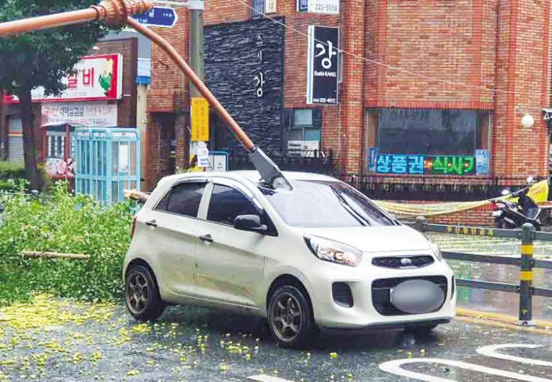 제10호 태풍 ‘하이선’ 영향으로 7일 오전 경남 창원시 마산합포구 한 거리에서 가로등이 쓰러지면서 도로에 있던 승용차 앞 유리가 파손됐다. [연합]