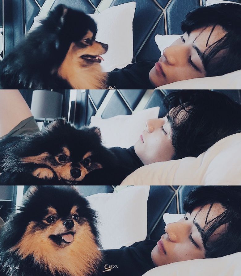 방탄소년단 뷔와 반려견 연탄이