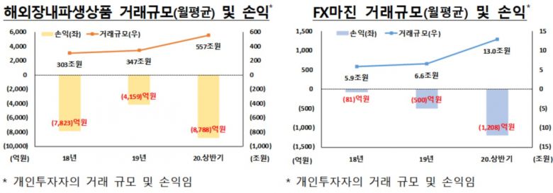 [금융감독원 제공]