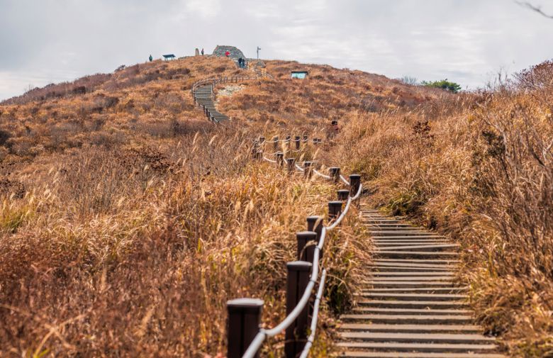 영남알프스 억새