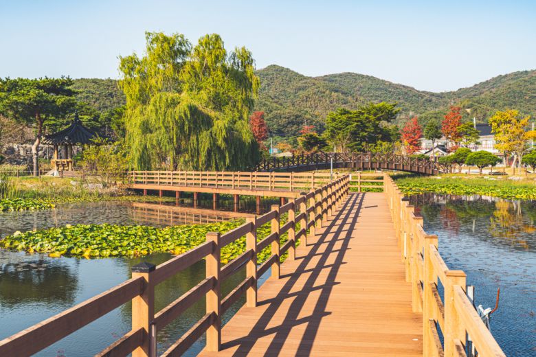 영광 칠산갯길 300리 불갑테마공원 구간은 작은 습지를 중심으로 조성됐다.