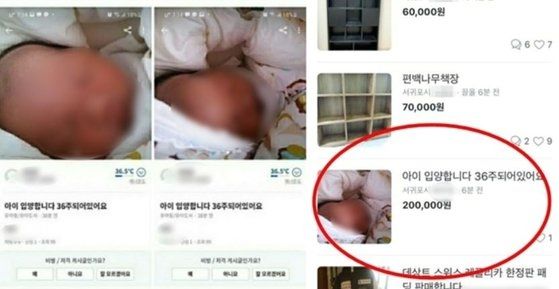 지난달 36주 신생아를 20만원에 판매한다고 올라와 논란을 일으킨 게시글.[당근마켓 화면 캡처]