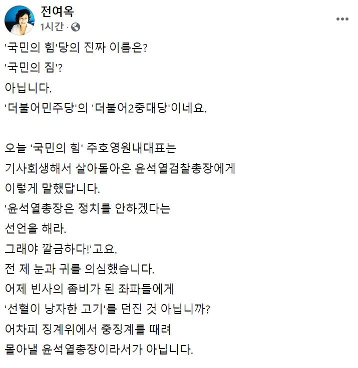 전여옥 전 새누리당(국민의힘 전신) 의원 페이스북 일부 캡처.