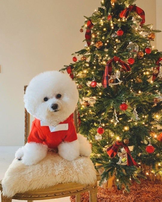 기은세 인스타그램