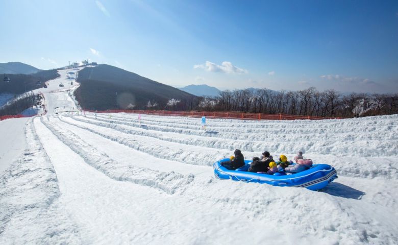 하이원 스노우월드