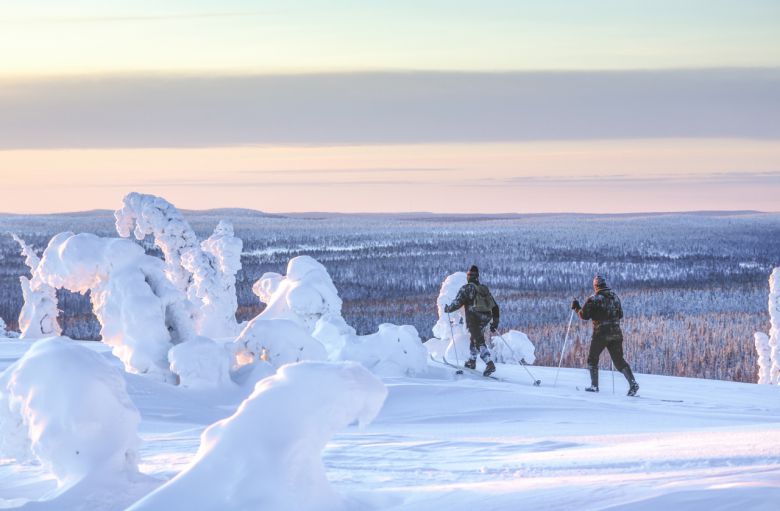 포시오 리시툰투리