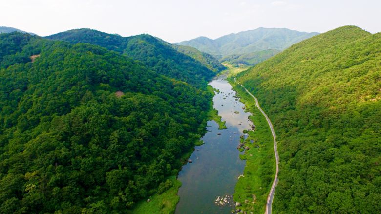 임실 섬진강 상류의 여름