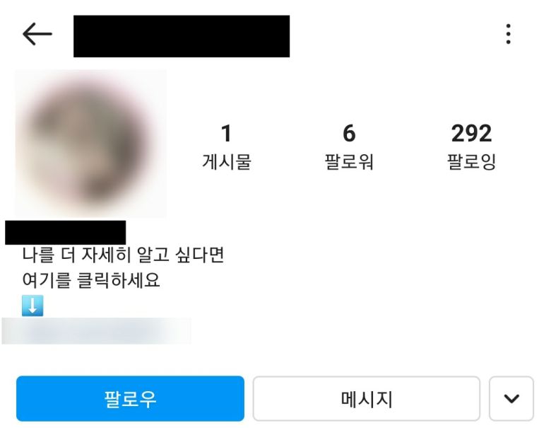 음란 댓글을 남기는 인스타그램 계정. 불법 성인 사이트 및 성인 데이트앱으로 연결되는 링크를 누르도록 유인한다. [인스타그램 캡처]