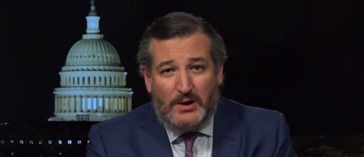 테드 크루즈 공화당 상원의원. [폭스뉴스 방송 화면 캡쳐]