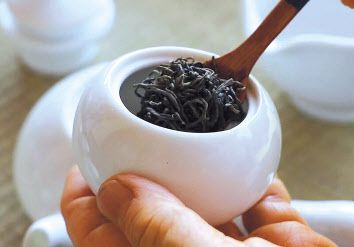 장흥고씨 학봉종가 포레스트 죽로차.