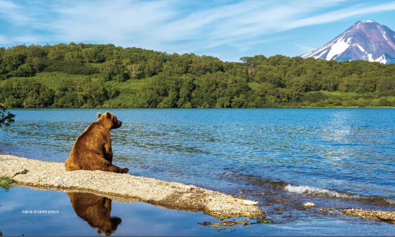 러시아 캄차카 생태관광.