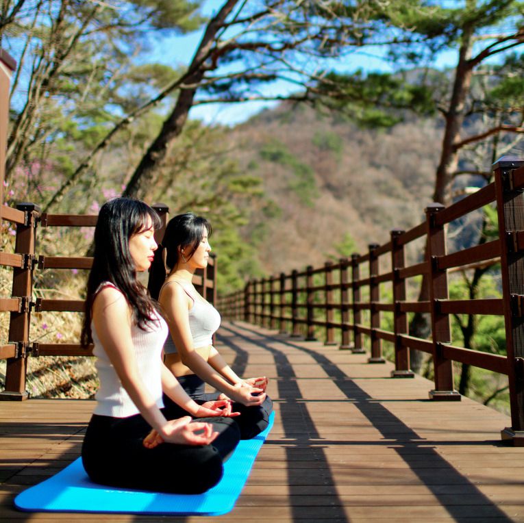 국립제천치유의숲