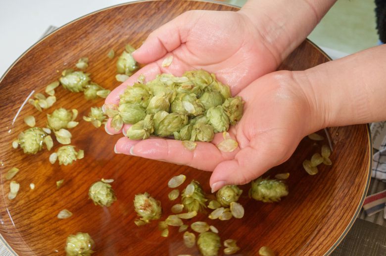 홉테라피 스킨캐어 뷰티