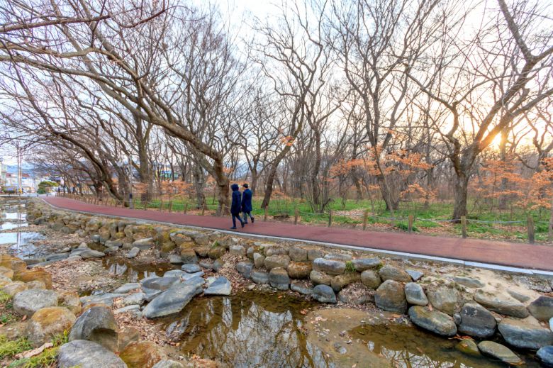 함양 상림공원 [지앤씨이십일(대표 전계욱), 정백호 작가 제공]