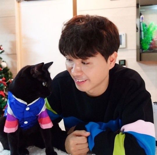 박수홍 반려묘 다홍이 인스타