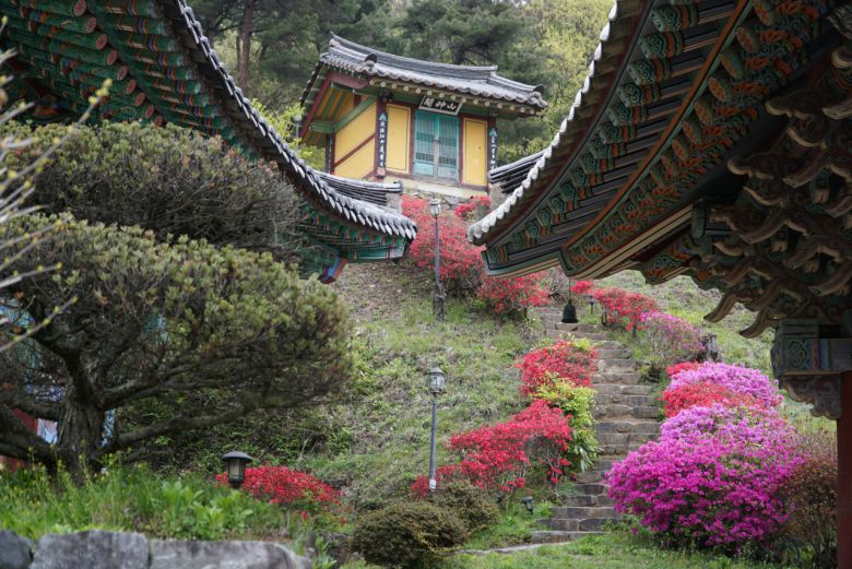 비암사 극락보전(오른쪽)과 대웅전 사이 산신각 가는 꽃길