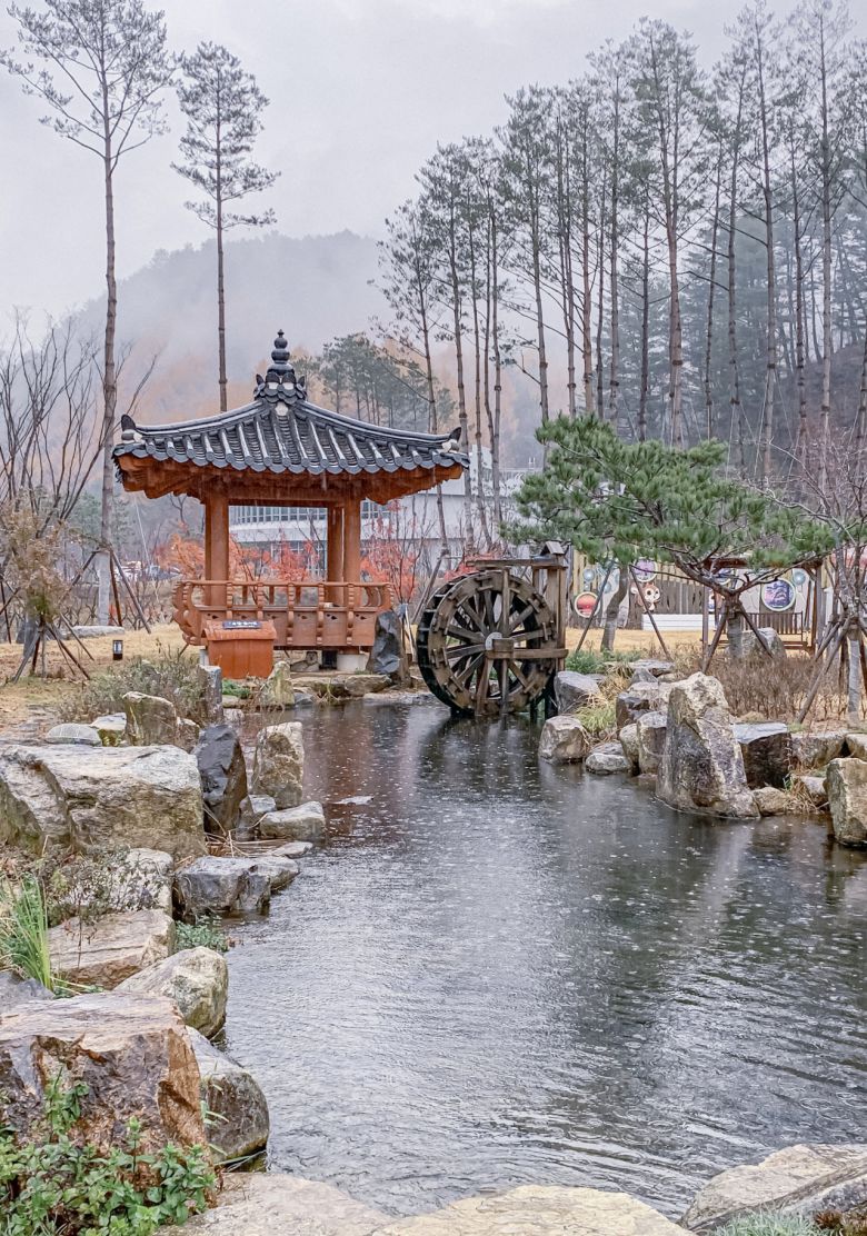 울진 금강송 에코리움 테마전시관 앞 연못은 비온 날도 운치있다