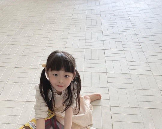 잼잼이 인스타그램