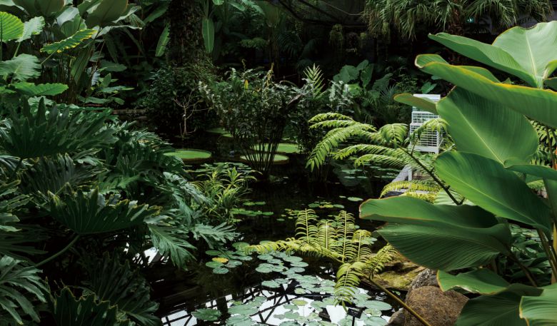 한국 청정지역에서의 자연 숲 치유