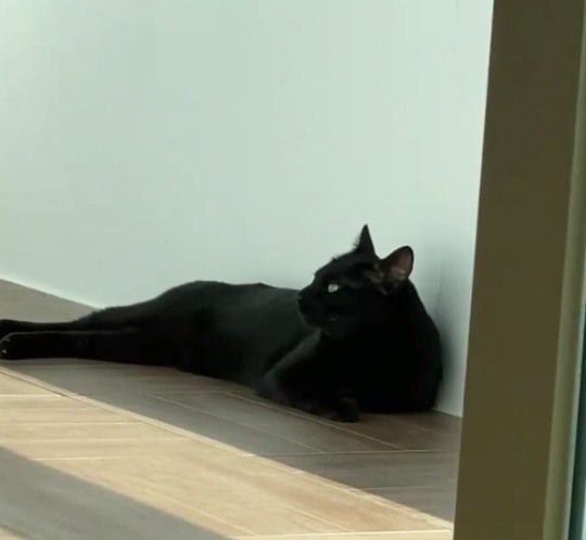 박수홍 인스타그램