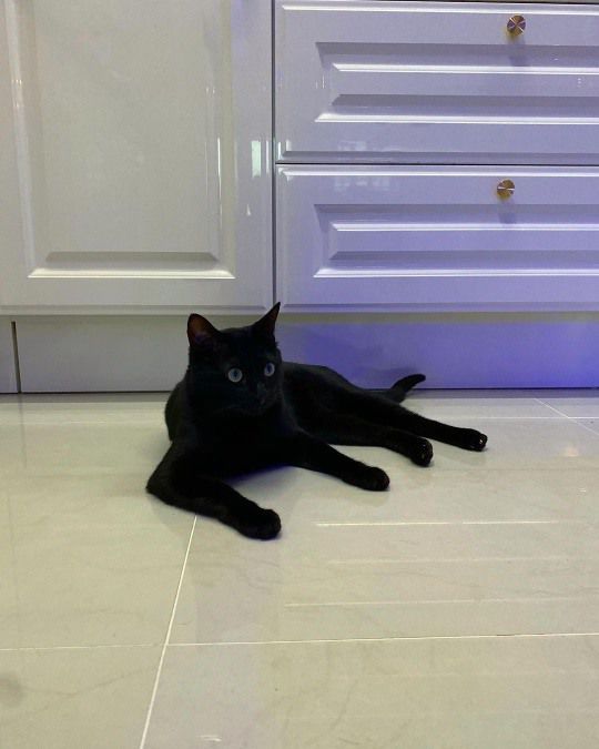 박수홍 인스타그램