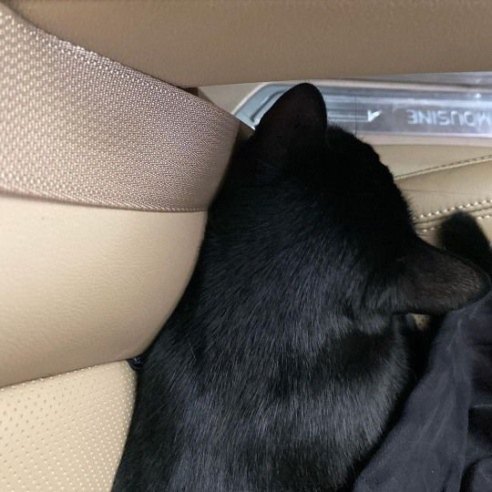 박수홍 인스타그램