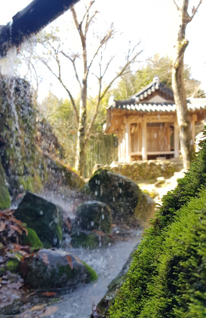 통나무 수로에 구멍을 뚫어 물이 새도록 함으로써 계곡옆 바위에 이끼가 자랄 수 있게 됐다. [남도일보]