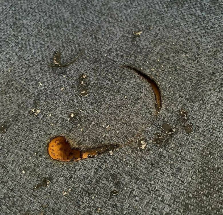 22일 ‘삼성멤버스’ 커뮤니티에는 ‘갤럭시버즈 폭발’이라는 제목의 문의 글이 게재됐다. 삼성멤버스 게시글 캡처 [삼성멤버스 커뮤니티]