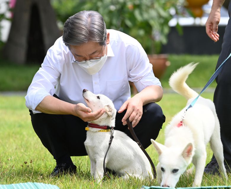 더불어민주당 대선 경선 후보인 이재명 경기도지사가 20일 경기도 고양시 덕양구 농업기술센터 내 잔디밭에서 열린 동물복지 공약 발표 기자간담회에서 동물보호센터 보호견 '오리'와 시간을 보내고 있다. [연합]