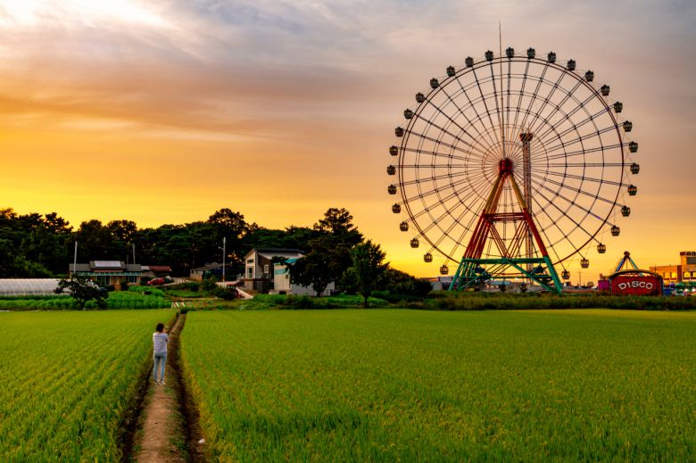 ‘당진아이(eye)’. 삽교호 놀이동산의 대관람차가 해질녘에도 움직이고 있다.