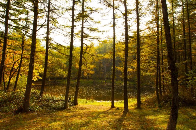 하늘길·운탄고도 패키지 여행때엔 환경보호 활동도 병행해 뿌듯함까지 안긴다.