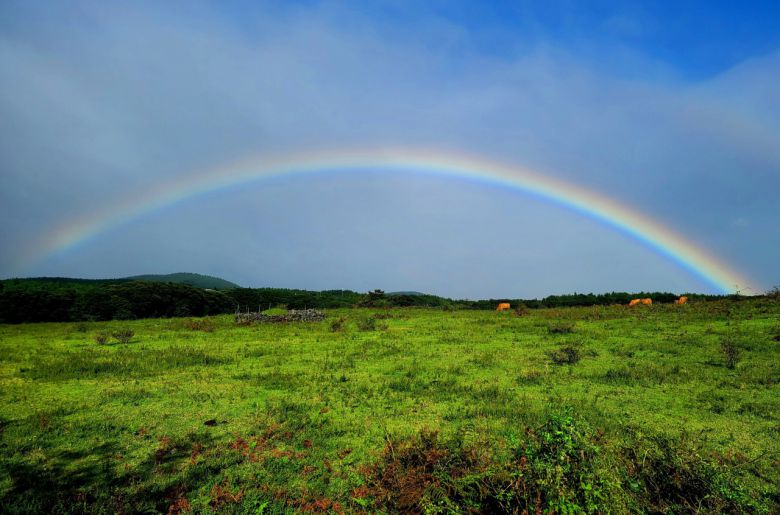 이승이오름 가는 길 목장에 뜬 무지개. 흔한 일이다.