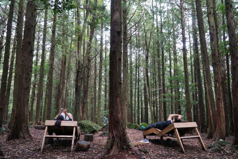 서귀포 치유의숲 ‘숲멍’ 쉼팡