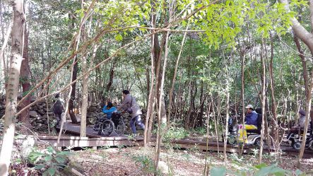 서귀포 ‘치유의숲’에는 휠체어 탄 국민도 등산한다.