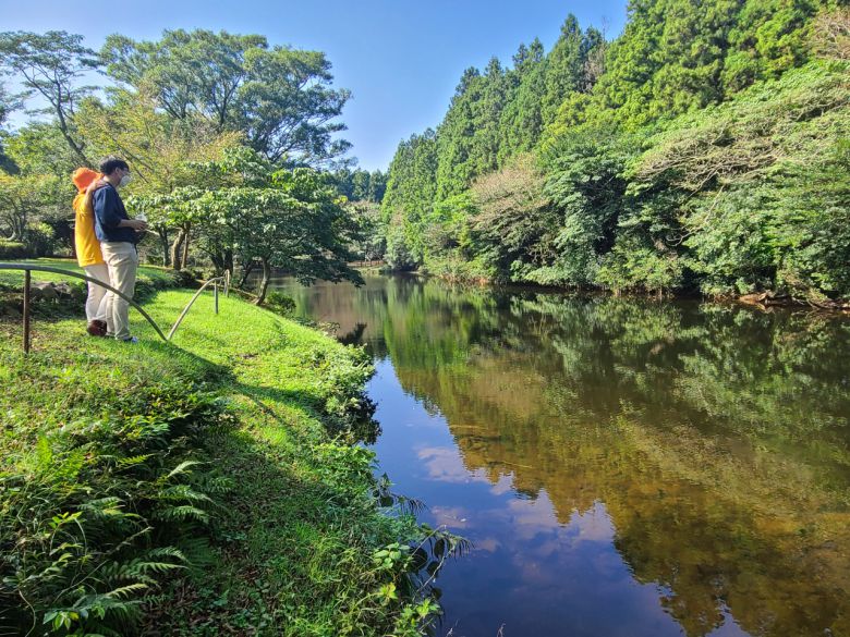 송당 진수내 청정옥수와 숨은 숲 여행지