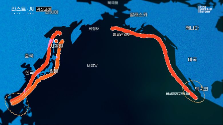 [출처: 라스트 씨]