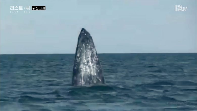 [출처: 라스트 씨]