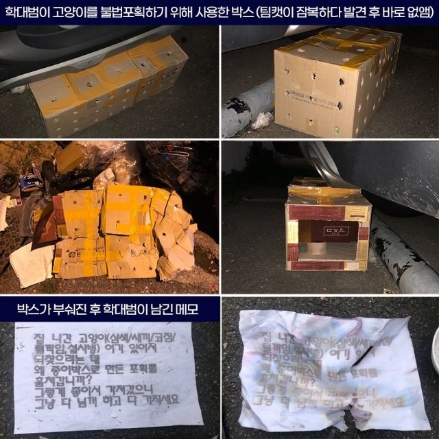 [동물구호 시민단체 ‘팀캣(C.A.A.T)’]