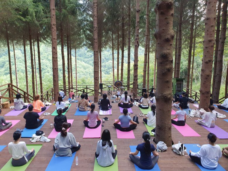 평창 발왕산 숲 요가
