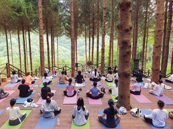 평창 발왕산 숲 요가