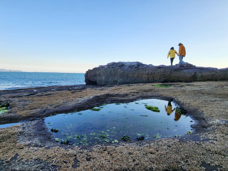 용바위 해안 산책길