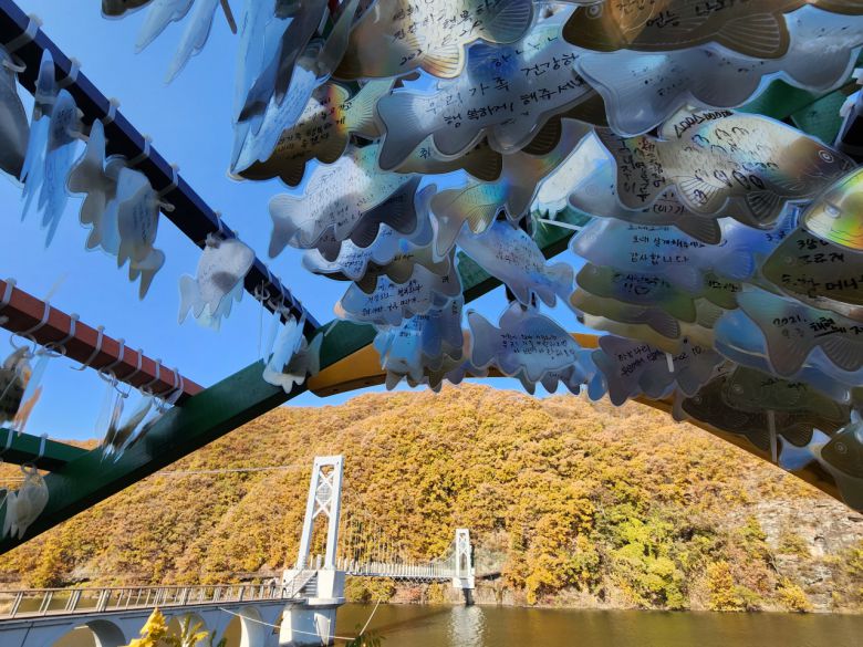 농다리 인근 하늘다리 밑은 수상 쾌속 레포츠의 천국이다. 다리 잎구엔 붕어팻말에 소원 적어 거는 코너가 있다. 부모 한테 시크한 청소년도 여기선 사랑과 행복을 고백한다.