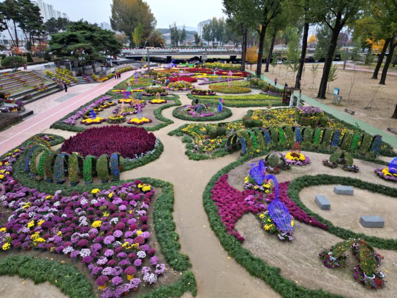 증평 보강천변 미루나무 숲 사이 예쁘장하게 꾸민 화원