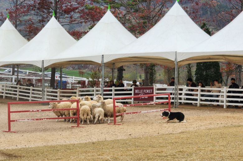 “하아, 하아, 하아...어린 양들, 전원 무사 귀가, 임무 완료!”